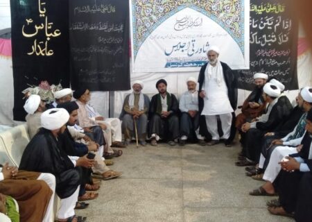 شیعہ قومی و ملی تنظیموں اور جماعتوں کا نمائندہ مشاورتی اجلاس، مشترکہ اعلامیہ جاری