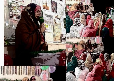 حوزہ علمیہ جامعہ فاطمیہ فیصل آباد میں جشن مولود کعبہ منعقد/امام علیؑ علمِ لدُنّی کے مالک ہیں، محترمہ خانم فرحانہ گلزیب