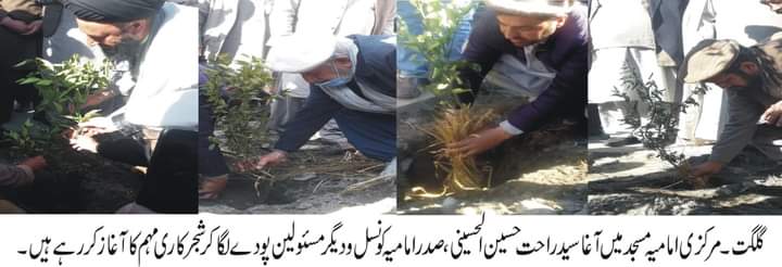 امام جمعہ گلگت علامہ سید راحت حسین الحسینی نے مرکزی امامیہ جامع مسجد گلگت میں پودا لگا کر شجر کاری مہم کا آغا کر دیا