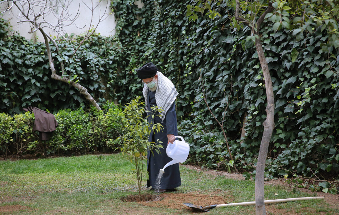 رہبر معظم انقلاب اسلامی نے شجر کاری کے دن کی مناسبت سے پھلوں کے دوپودے کاشت کئے+تصاویر