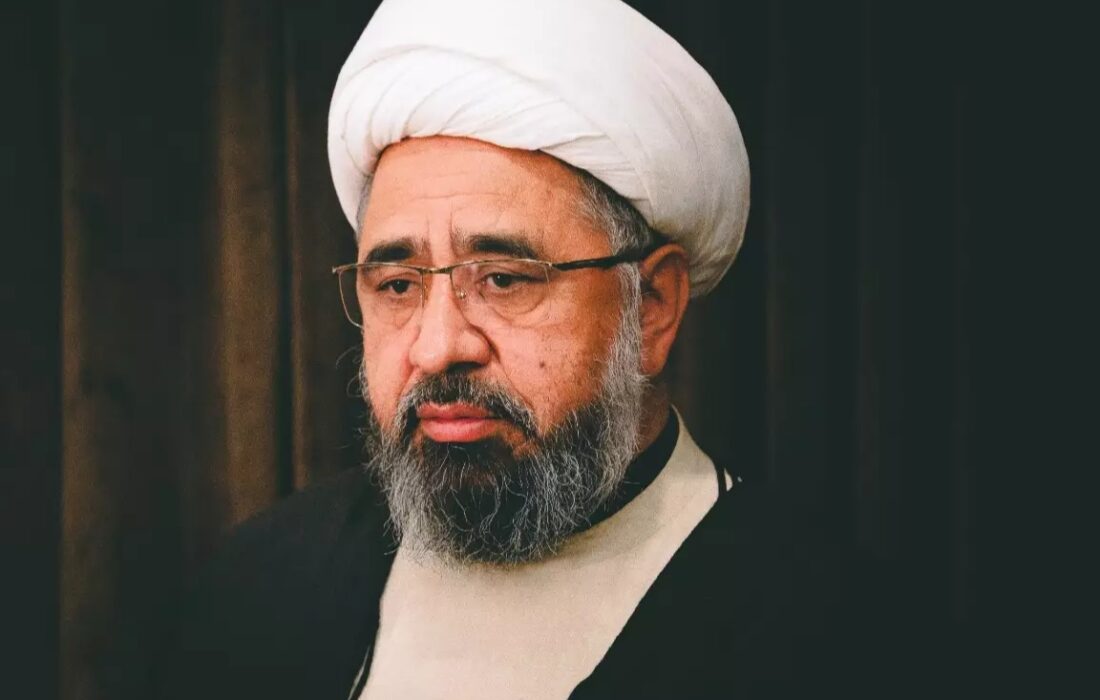 پوپ فرانسس اور آیت اللہ علی سیستانی کی ملاقات عالمی امن کے لئے ایک اہم اقدام ہے، علامہ امین شہیدی