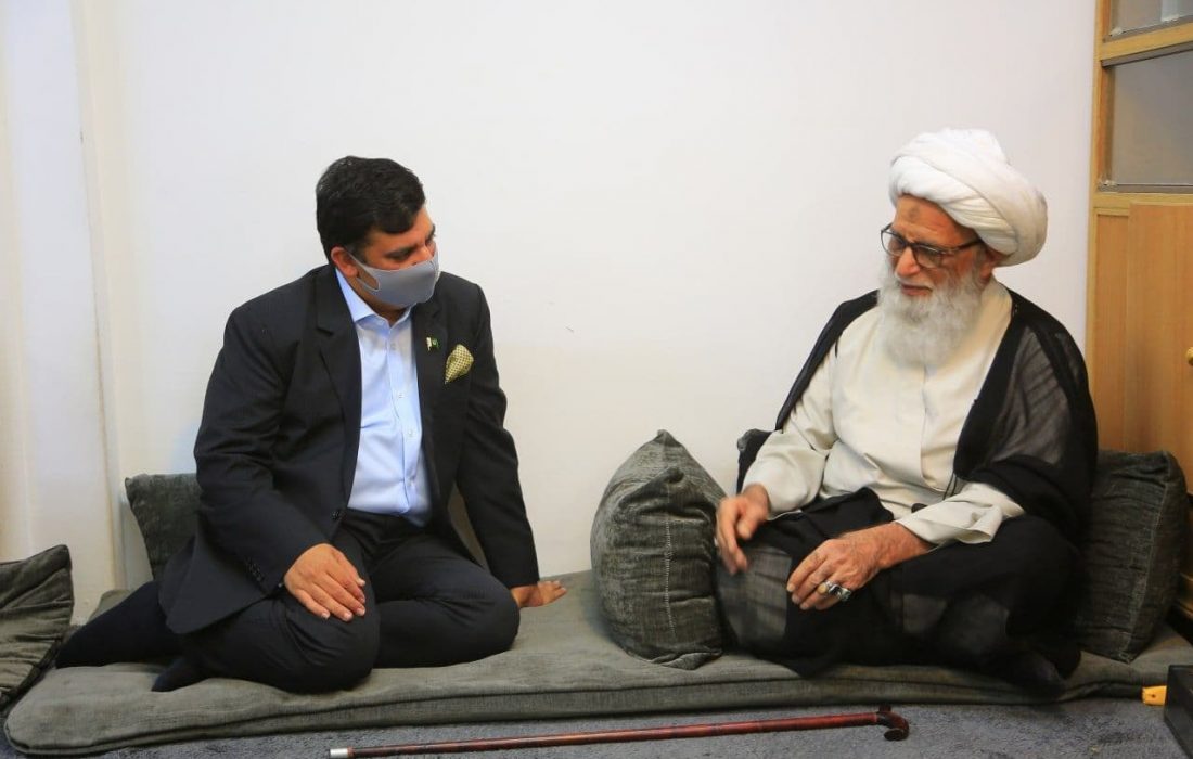 بغداد؛ پاکستانی سفیر کی آیت اللہ حافظ بشیر نجفی سے ملاقات