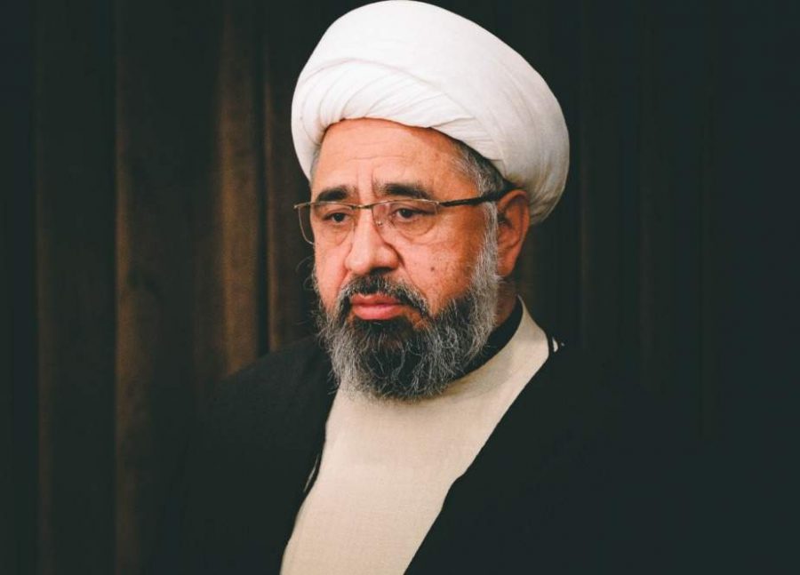 ایران نے مسئلہ فلسطین پر شیعہ سنی وحدت کی بہترین مثال قائم کی ہے، علامہ امین شہیدی