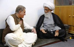 ویڈیو|وزیر خارجہ شاہ محمود قریشی کی عراق میں آیت اللہ العظمی حافظ بشیر نجفی سے ملاقات