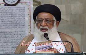 محرم الحرام کے حوالے سے اہم پیغام، آیت حافظ سید ریاض حسین نجفی