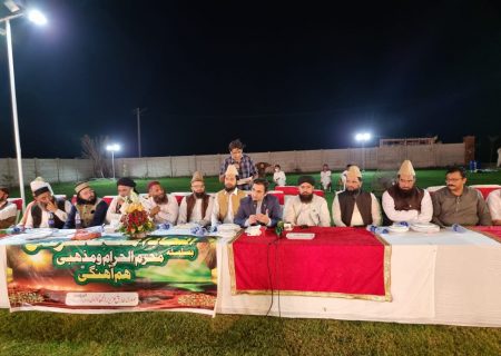 پاکستان میں تحریک عاشورا کی تعلیمات کے فروغ کے مقصد سے اسلامی وحدت کی کانفرنس کا انعقاد