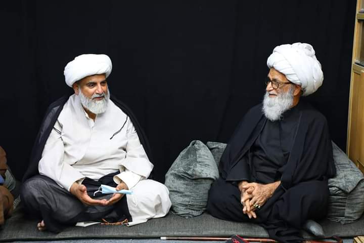 علامہ راجہ ناصر عباس جعفری کا اپنے وفد سمیت آیت اللہ حافظ بشیر حسین نجفی سے ملاقات