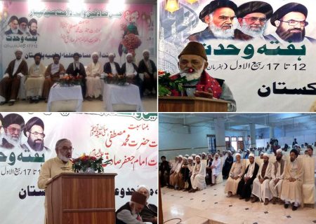 کراچی میں جشن صادقین (ع) اور اتحاد امت سیمینار, شیعہ سنی علماء کرام کی شرکت