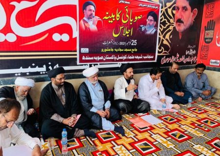 ملک کی موجودہ صورتحال پر تشویش ہے، شیعہ علماء کونسل پاکستان سندھ