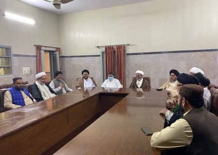 شیعہ علماء کونسل کے مرکزی سیکرٹری جنرل علامہ شبیر میثمی کی وفد کے ہمراہ آیت اللہ حافظ ریاض نجفی سے ملاقات