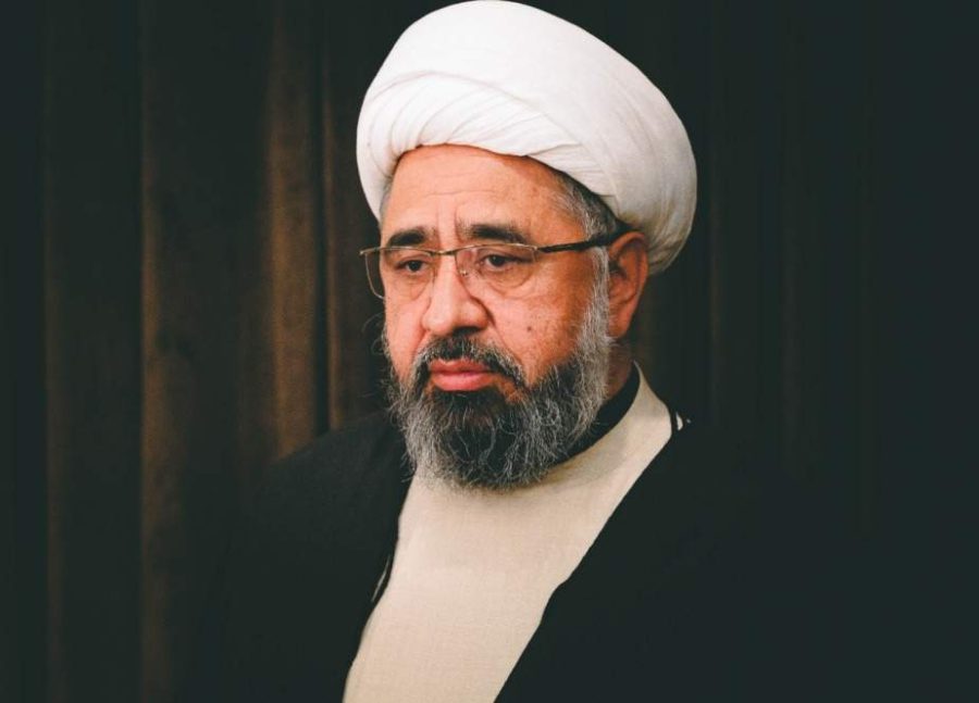 روسی صدر کا بیان بین المذاہب ہم آہنگی کی طرف مثبت قدم ہے، علامہ امین شہیدی