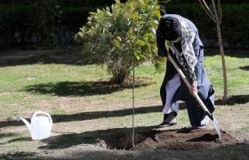 تصویری رپورٹ|یوم شجرکاری کے موقع پر رہبر انقلاب اسلامی نے دفتر کے احاطے میں پودا لگایا