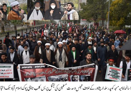 مجلسِ وحدت مسلمین پاکستان کے زیر اہتمام سانحہ پشاور کے خلاف دنیا بھر میں احتجاجی مظاہرے