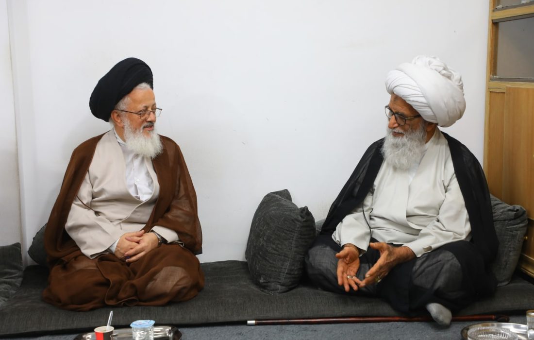 آیت اللہ العظمی حافظ بشیر نجفی سے عراق میں نمائندہ ولی فقیہ کی ملاقات
