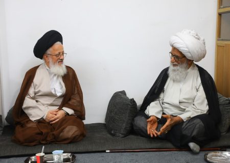آیت اللہ العظمی حافظ بشیر نجفی سے عراق میں نمائندہ ولی فقیہ کی ملاقات