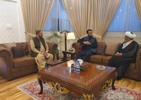علامہ شبیر حسن میثمی کی قیادت میں شیعہ علماءکونسل کے وفد کی وزیرداخلہ پنجاب عطاءاللہ تارڑ سے ملاقات