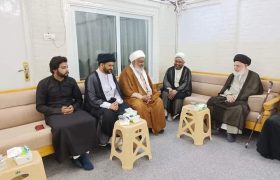 علامہ محمد افضل حیدری کی حجة الإسلام والمسلمين سماحۃ السید عزالدين الحكيم اور آية الله محمد جعفر الحكيم سے ملاقات