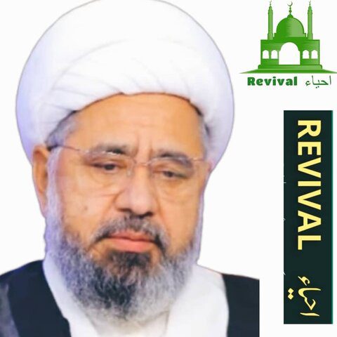 مومن اپنی طاقت سے فائدہ اٹھاتا ہے، اسے ضائع نہیں کرتا؛ علامہ امین شہیدی
