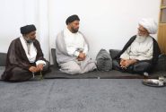 پاکستانی علمائے کرام کی حضرت آیت اللہ بشیر حسین نجفی سے ملاقات