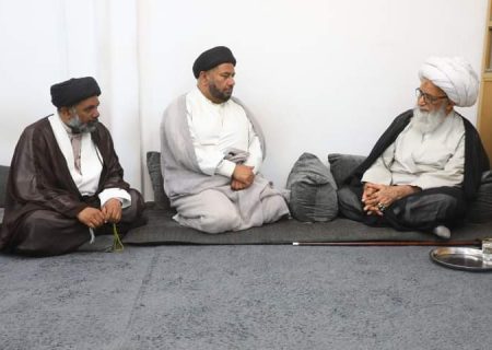 پاکستانی علمائے کرام کی حضرت آیت اللہ بشیر حسین نجفی سے ملاقات