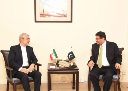 ایرانی سفیر کی پاکستان کے وزیر خزانہ مفتاح اسماعیل سے ملاقات