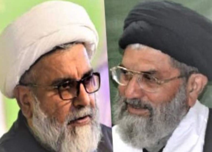 دو قومی کانفرنسز، دو قومی جماعتیں