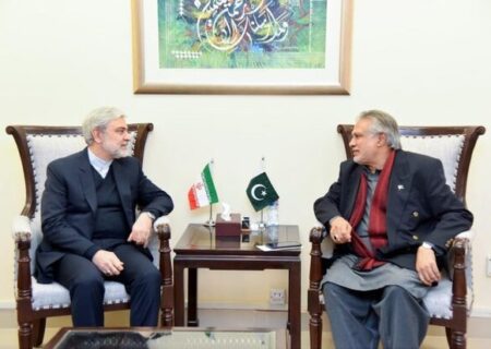 وفاقی وزیر خزانہ اور پاکستان میں تعینات ایرانی سفیر کی ملاقات