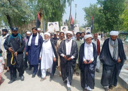 ڈیرہ اسماعیل خان، سانحہ پاراچنار کیخلاف شیعہ علماء کونسل کی احتجاجی ریلی