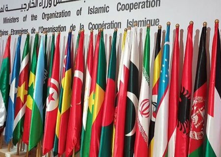 قرآن کی بے حرمتی، او آئی سی کا ہنگامی اجلاس بلانے کا فیصلہ