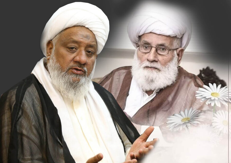 شیعیت کا ایک درخشاں ستارہ غروب ہوگیا، علامہ محمد افضل حیدری