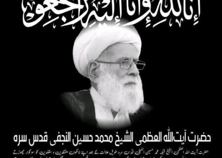 جامعہ سلطان المدارس کی جانب سے عالم ربانی حضرت آیت اللہ الشیخ محمد حسین نجفی کی رحلت پر تعزیت