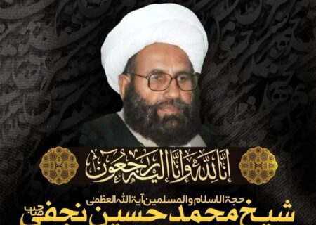 آیت اللہ الشیخ محمد حسین نجفی نے زندگی مخلصانہ علمی و عملی مجاہدت و کوشش میں گزاری، صدر جامعہ روحانیت بلتستان