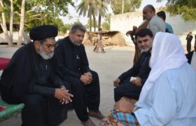 علامہ سید محمد تقی نقوی  کی بزرگ عالم دین علامہ ثابت علی نجفی  سے ملاقات