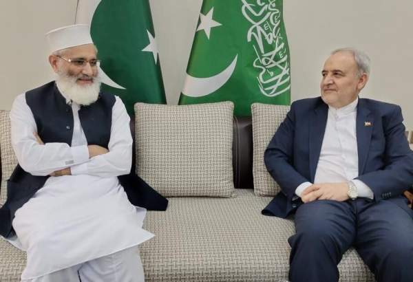 ایران اور پاکستان اسلامو فوبیا سے مقابلے میں اہم ذمہ داری کے حامل ہیں