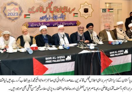 عالمی ادارے مسئلہ فلسطین کا سبب ہیں ان سے حل کی توقع کرنا درست نہیں، علامہ سید ساجد علی نقوی