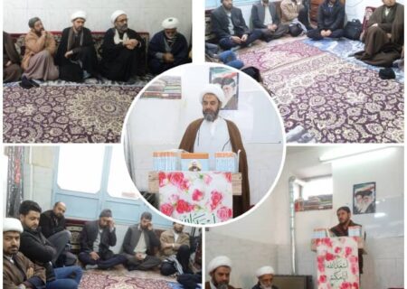 امام خمینی (رح) نے دین کو اجتماعی مسائل و انسانی معاشرہ کا محور بنایا، مولانا فدا علی حلیمی