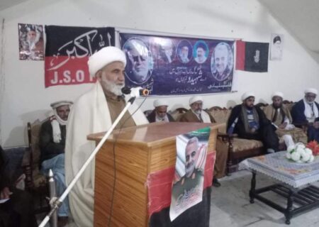 ڈیرہ اسماعیل خان، شیعہ علماء کونسل کیطرف سے شہدائے مقاومت و قدس کانفرنس