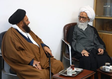 مراجع کرام کے وکلاء کی آیت اللہ العظمی حافظ بشیر حسین نجفی سے ملاقات