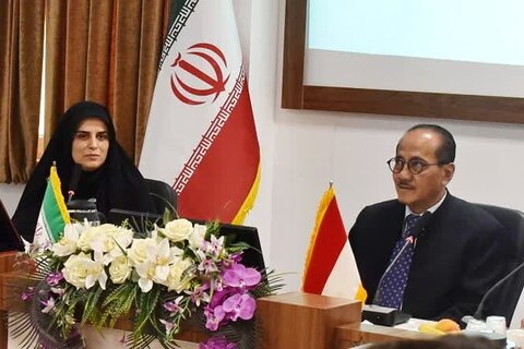 انڈونیشیا کے سفیر کا حضرت معصومہ سلام اللہ علیہا یونیورسٹی ایران کا دورہ