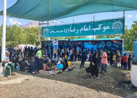 مشہد مقدس میں شہادت امام رضا (ع) کے موقع پر 300 موکب کا اہتمام