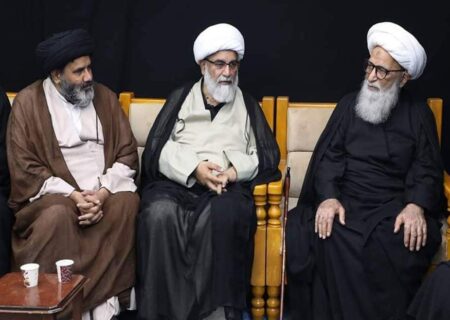 سینیٹر علامہ راجہ ناصر عباس کی مرجع عالی قدر آیت اللہ العظمى شيخ بشیر نجفی سے ملاقات