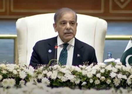 معاشی ترقی، استحکام اور خوشحالی کیلیے ملکر آگے بڑھنا ہوگا، شہباز شریف
