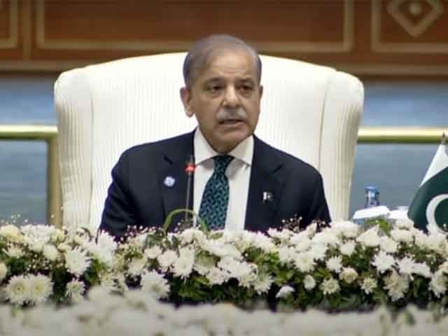 معاشی ترقی، استحکام اور خوشحالی کیلیے ملکر آگے بڑھنا ہوگا، شہباز شریف