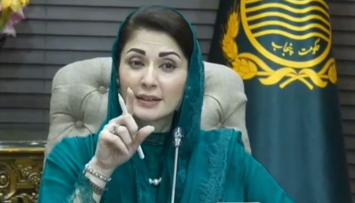 پاکستان کی فلسطین پالیسی قائداعظم کے اصولی موقف کی عکاس ہے، مریم نواز