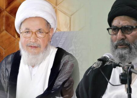 قائد ملت جعفریہ پاکستان کی علامہ شیخ محمد حسن جعفری کی عیادت