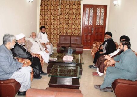 علامہ شبیر حسن میثمی کی آیت اللہ حافظ ریاض حسین نجفی سے ملاقات، مختلف اُمور پر تبادلہ خیال