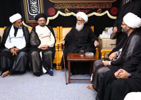 نجف اشرف میں جامعہ مخزن العلوم جعفریہ کے اساتذہ کی آیت اللہ العظمیٰ بشیر حسین نجفی سے ملاقات