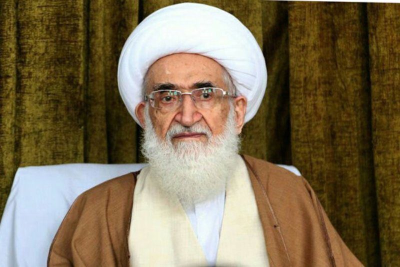 علماء ملت ایران کی عزت کے تحفظ کے لیے اپنی جانوں کی قربانی دینے کو بھی تیار ہیں، آیت اللہ العظمیٰ نوری ہمدانی