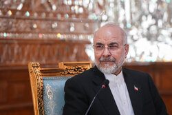 ایرانی فوج اقتدار، سلامتی اور سرحدوں کی محافظ ہے، قالیباف