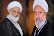 علامہ محمد حسین اکبر، علامہ افضل حیدری پنجاب قرآن بورڈ کے رکن منتخب